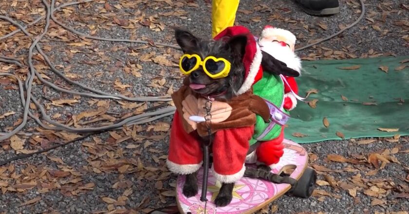 Video. Tokyo'da hasta çocuklar için Noel Baba geçit töreni