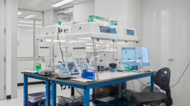 DNA testi, 60 yıl sonra Kaliforniya’dan kimliği belirsiz kadının kimliğini ortaya çıkardı.