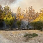 Çanakkale’de park edilen midibus’taki Firebus ormana atladı