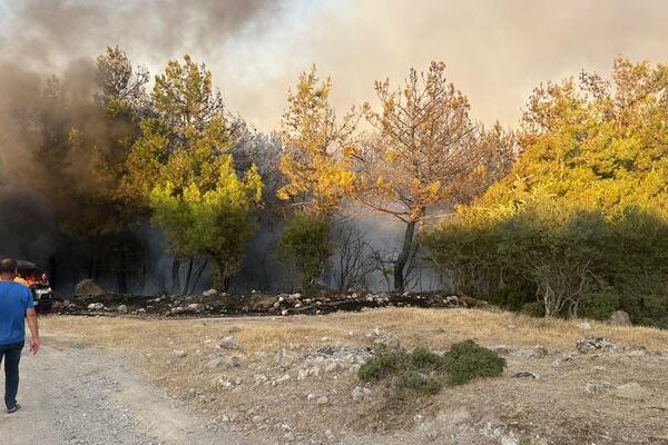 Çanakkale’de park edilen midibus’taki Firebus ormana atladı