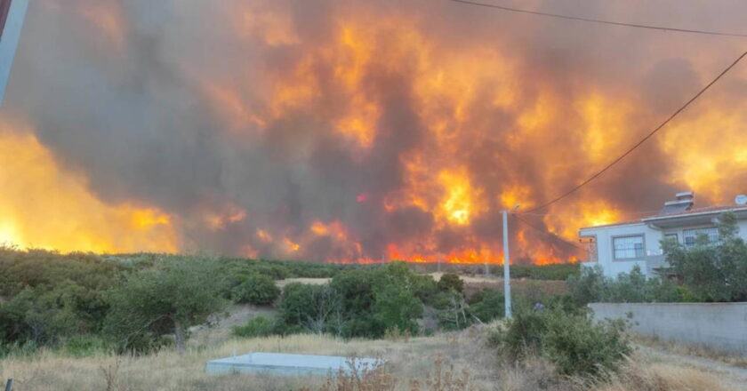 Eskişehir ekibinin liderinde hayatını kaybeden 10 orman işçisi: yukarı doğru kaçmaya çalışırken öldüler – Türkiye’nin haberlerini kırıyorlar