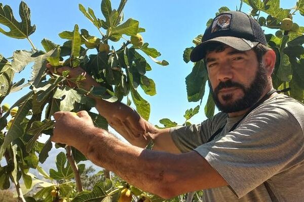 Türkiye’nin ilk kol nakli tarihteydi! Nakil kollarıyla yetiştiriyor: “Hayatımı inşa ediyorum”
