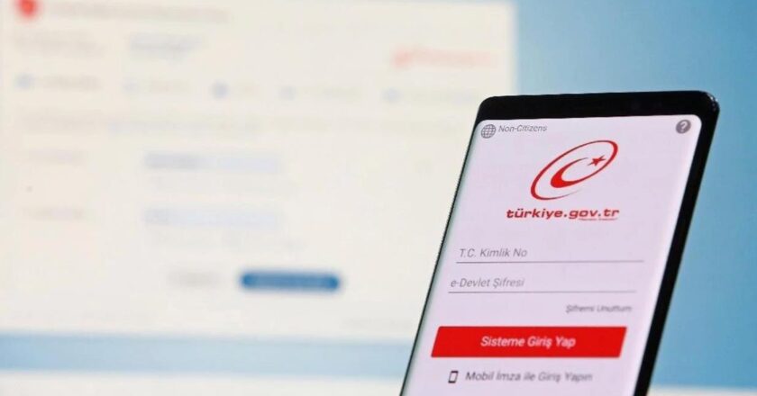 E Devlet sisteminde az kişinin farkında olduğu hizmetler ilgi topluyor