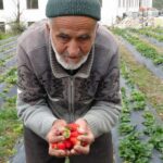 “30 Yıldır Ücretsiz Yardımda Bulunan İbrahim Dede, ‘Hayır Bahçesi’ ile Anılacak”