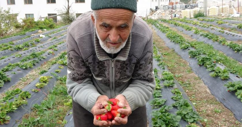 “30 Yıldır Ücretsiz Yardımda Bulunan İbrahim Dede, ‘Hayır Bahçesi’ ile Anılacak”